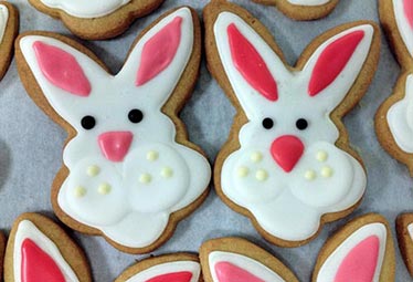 bunny cookies bunny cookies